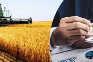 Мікро- та малі агробізнеси можуть отримати грант 100 000 грн у проєкті SEED 5.0 фото