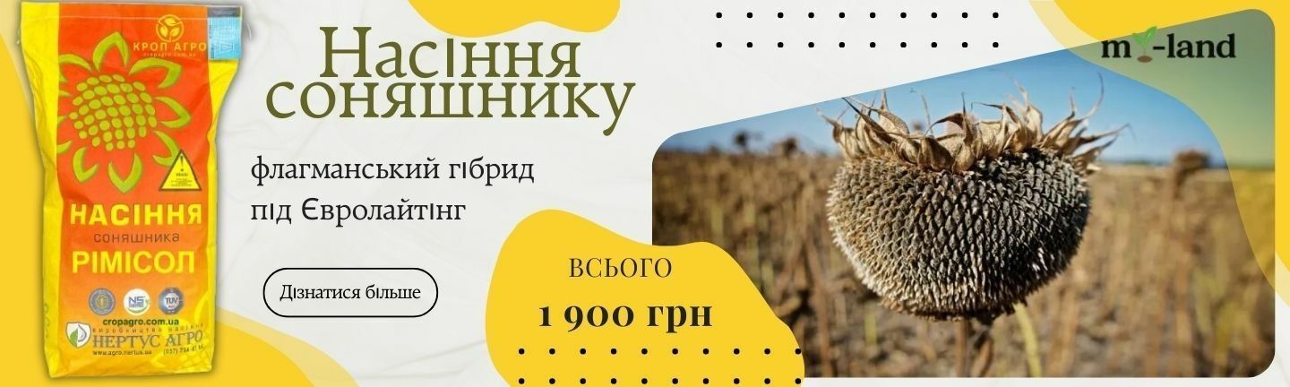 рімісол