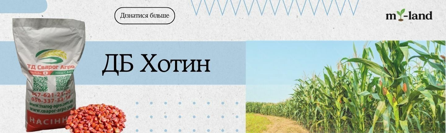 хотин