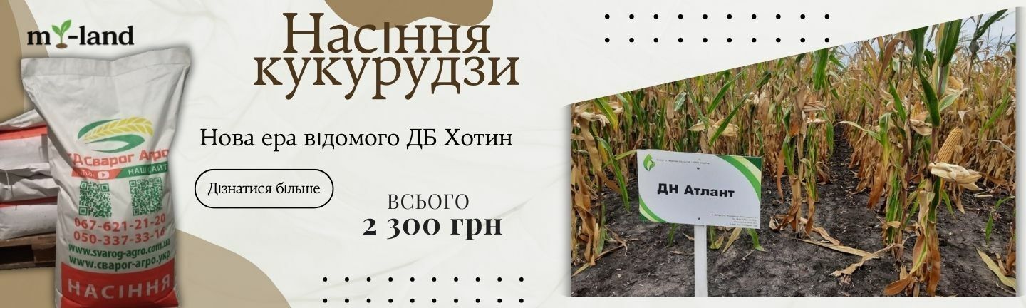 атлант